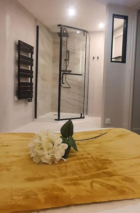 Suite Vinicole Hypercentre, Bastille & Gare 9 Min A Pied Γκρενόμπλ Εξωτερικό φωτογραφία